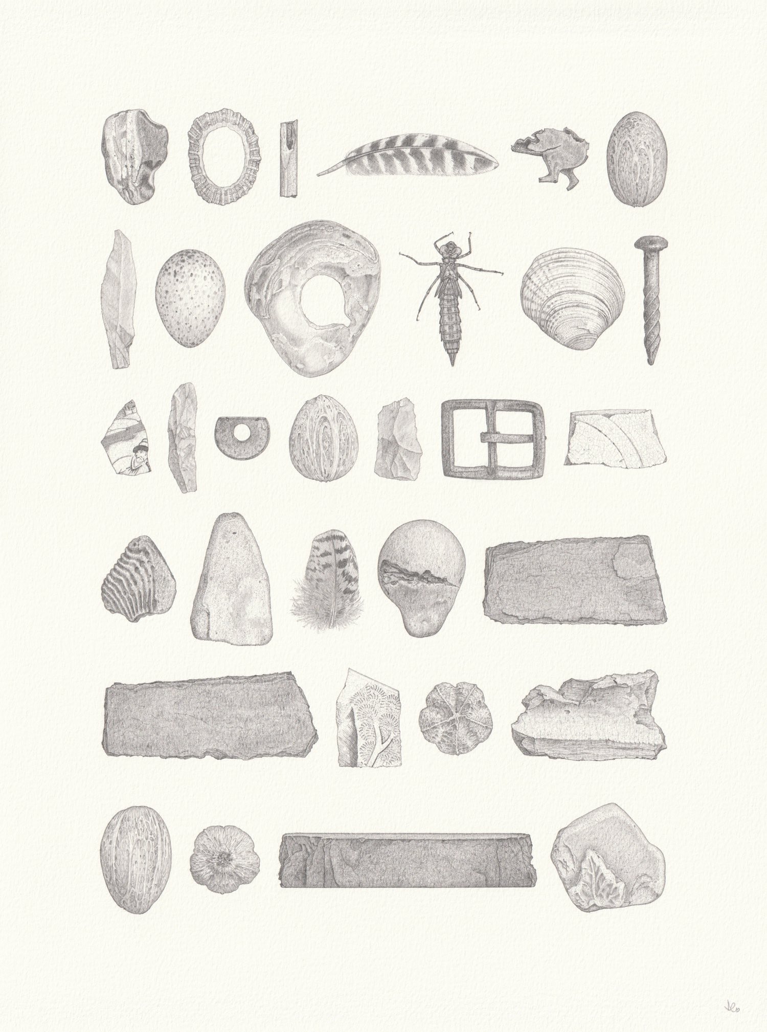 Assortment (38 x 28 cm) pencil on paper